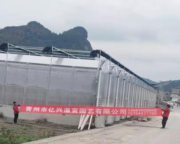 雄安案例工程